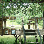 A rustic wooden treehouse surrounded by greenery.