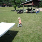 Child walking on grass near picnic tables and pavilion.