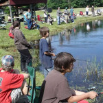 Kids fishing by a pond on a sunny day.