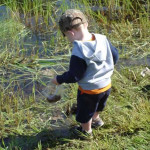 A young child exploring a grassy pond edge with a stick.