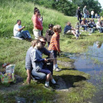People of all ages fishing by a pond on a sunny day.