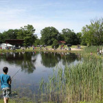 A boy fishing by a calm pond in a park on a sunny day.