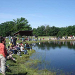People fishing by a serene lakeside on a sunny day.