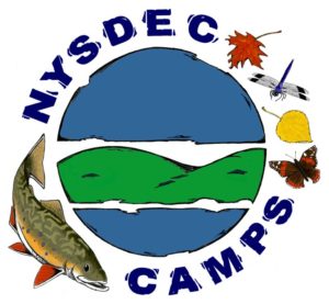 A logo of nysdc camps with a fish and some leaves.